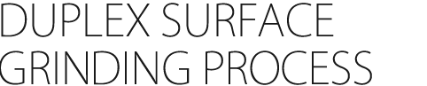 DUPLEX SURFACE GRINDING PROCESS